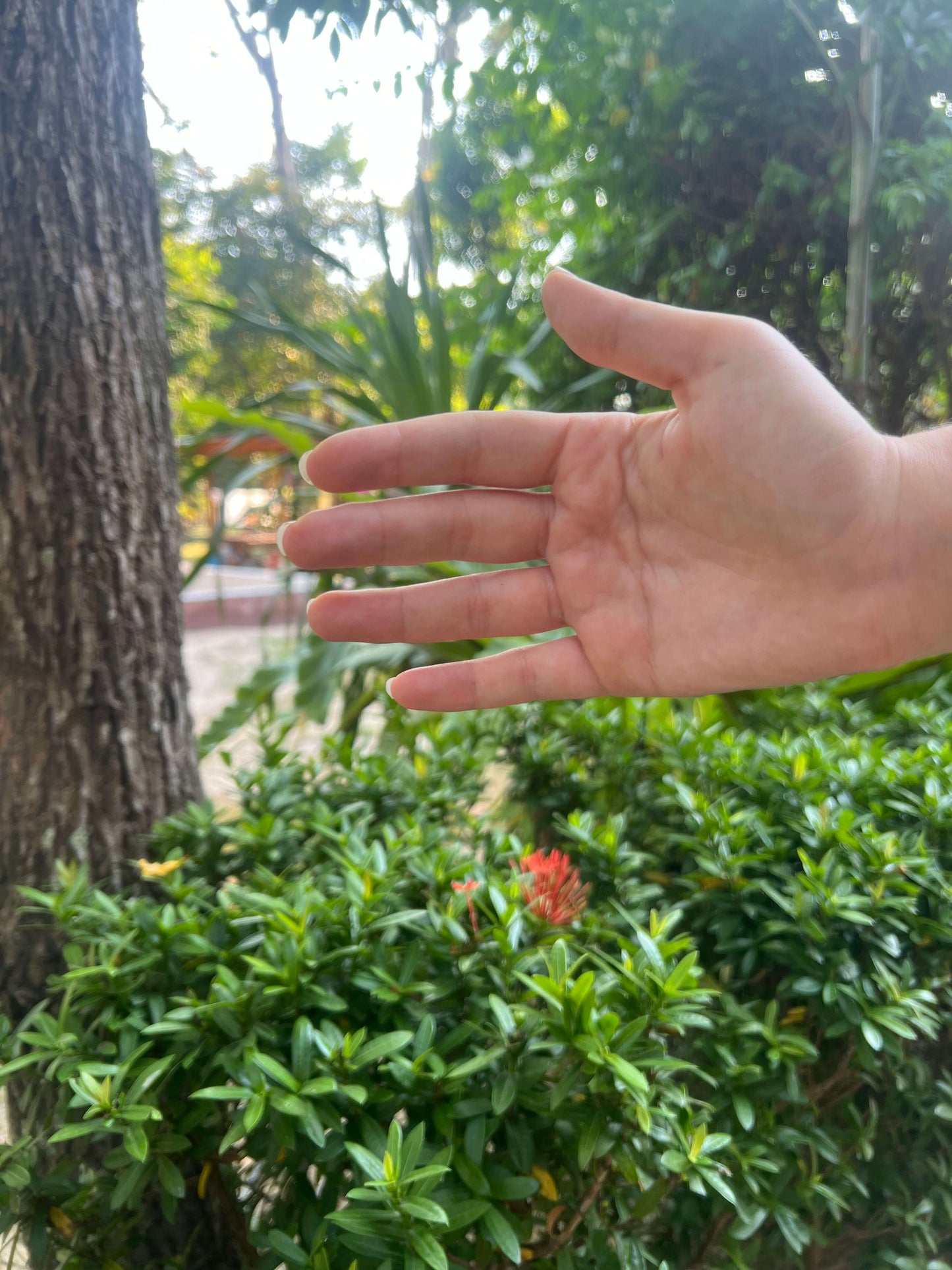 Krafttier_Eule-Weisheit_Intuition_Transformation-Seelenpartner-Hand