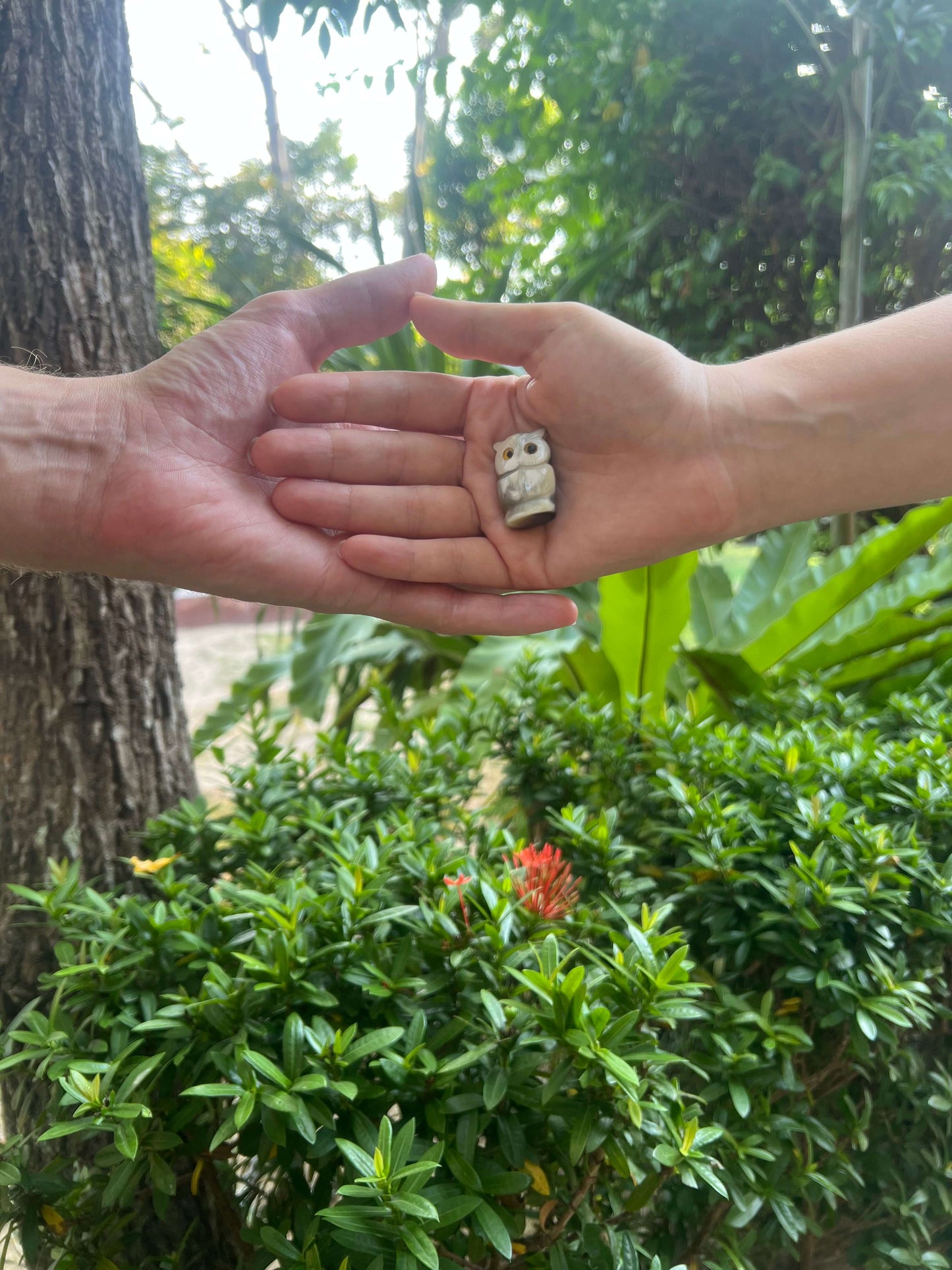 Krafttier_Eule-Weisheit_Intuition_Transformation-Seelenpartner-HandmitPartner
