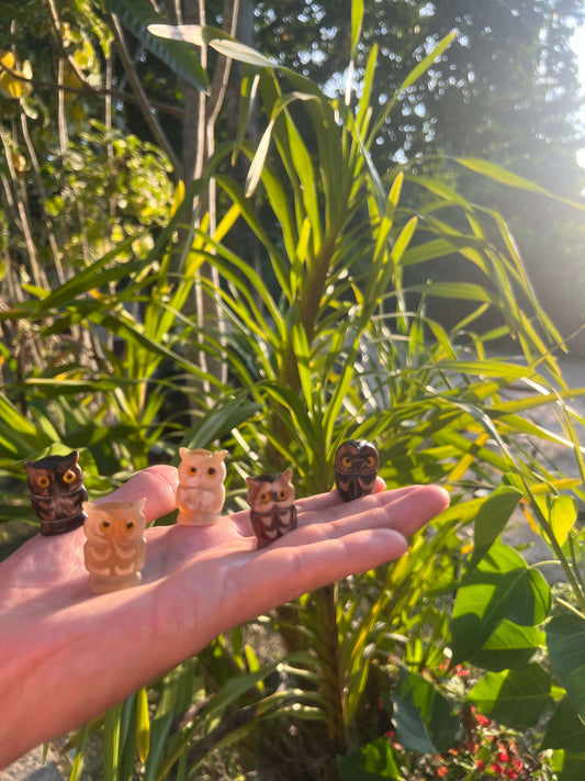 Krafttier_Eule-Weisheit_Intuition_Transformation-Seelenpartner-alle